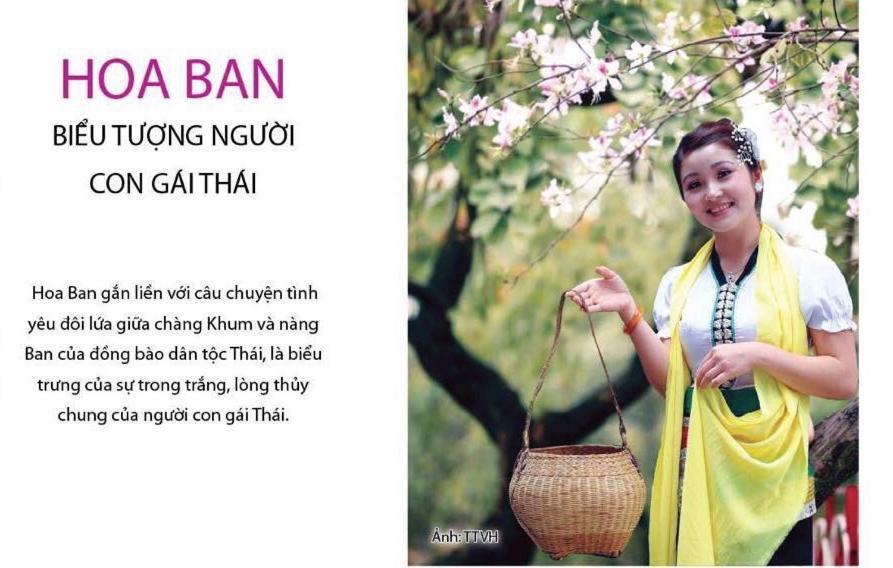 Agri Hotel Diện Biên Phủ Zewnętrze zdjęcie